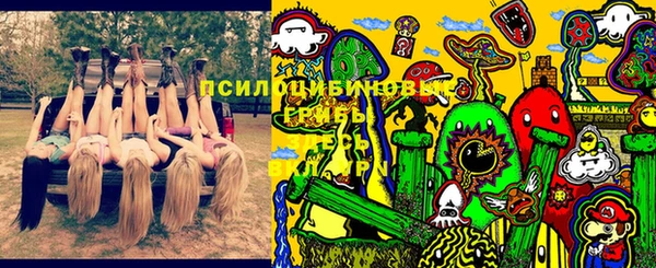 ALPHA PVP Куйбышев