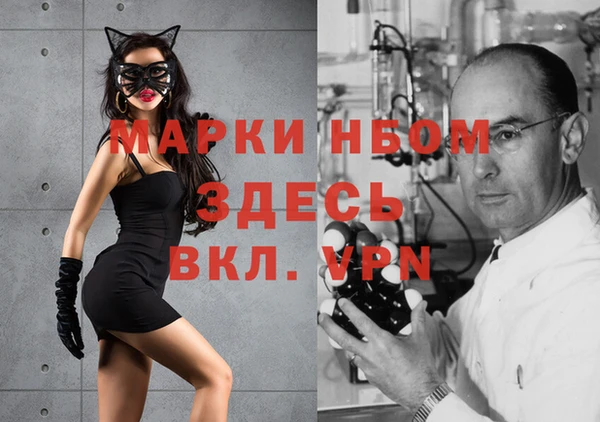 ALPHA PVP Куйбышев