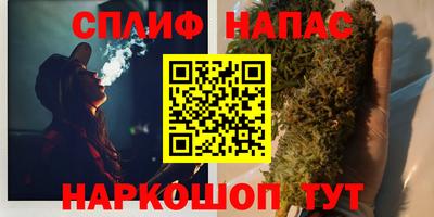 стаф Заводоуковск
