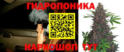 стаф Заводоуковск