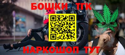 стаф Заводоуковск
