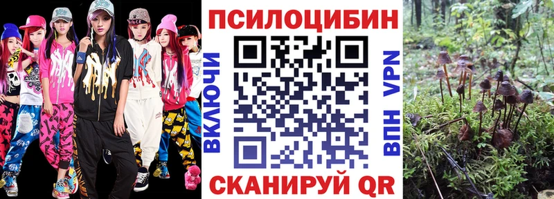 Купить закладки  Югорск  Псилоцибиновые грибы Psilocybine cubensis 