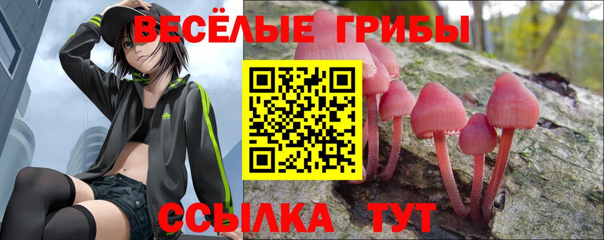 купить  цена  Югорск  Псилоцибиновые грибы мицелий 